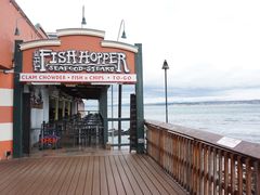 -Fish Hopper
