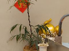 -小团圆糖水铺(襄阳南路店)