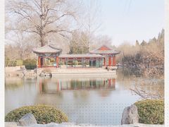 -近春园遗址