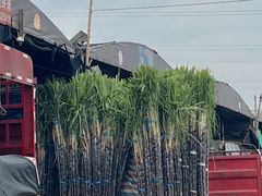 -江苏凌家塘农副产品批发市场果品区