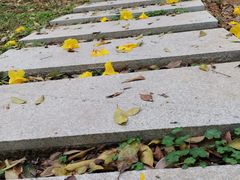 -玉树公园