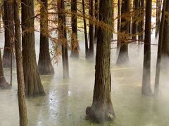 -东湖落雁景区