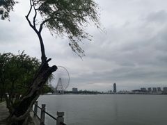 -无锡蠡湖国家湿地公园-蠡园