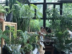 -北马山庄植趣咖啡