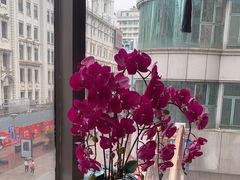 -新雅粤菜馆(南京东路店)