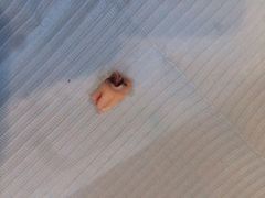 欢乐口腔(张江欧乐分院)-欧乐口腔(张江店)