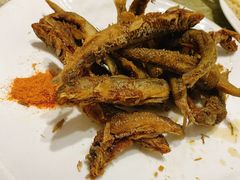 -掌勺人鱼馆(朝阳镇店)