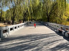 -北坞公园