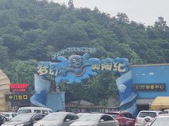 -梦幻奥陶纪景区