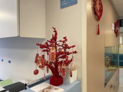 -杭州贝瑞斯美华妇儿医院·早孕·产检·儿科