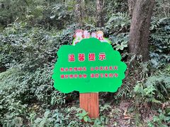 -黔灵山公园