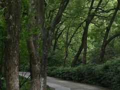 -宁波市保国寺古建筑博物馆