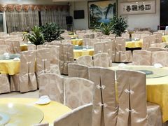 大堂-姚林轩