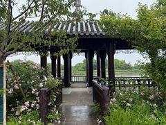 -梁鸿国家湿地公园