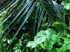 -SLOWOOD 咖啡餐食