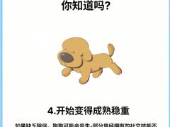 -美联众合动物医院·24h转诊中心