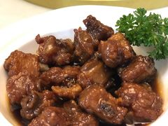 -席家花园(巨鹿花园店)