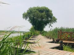 -焦岗湖旅游度假区