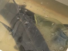 -金三可市井水煮鱼(金碧园店)