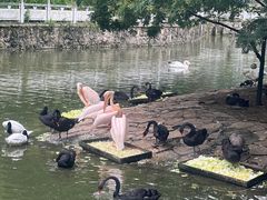 -黔灵山公园