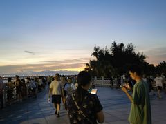 -宝安西湾红树林湿地公园