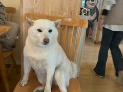 -柴の食堂·日式家庭料理·熊之肆(大学路店)