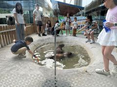 -廊坊固安福朋喜来登酒店
