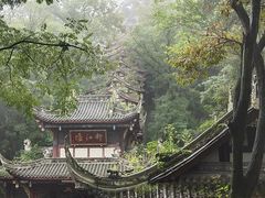 -都江堰中华大熊猫苑