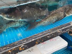 -浔味·山屿湖·正宗淳牌全鱼宴老字号