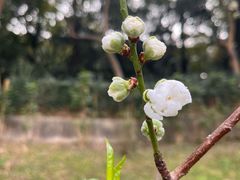 -桃花涧