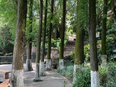 -广州莲花山旅游区