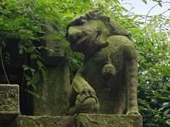 -天一阁博物院