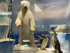 -国家自然博物馆