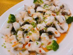 -亮庆餐厅·粤菜·早茶(篁庄店)