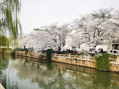 -七欣天香辣蟹火锅(常熟方塔街店)