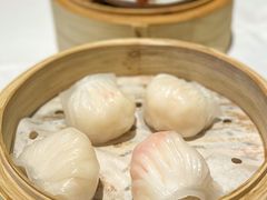-春满园·早茶·粤菜·宴会(前海店)