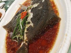 清蒸多宝鱼-江南村酒家