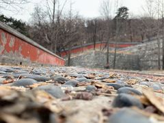 -北京鹫峰国家森林公园