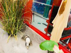 -禧鳳記·猪肚鸡火锅(玖洲道店)