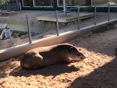 -西霞口神雕山野生动物世界