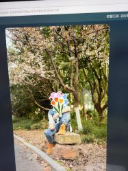 -七色田儿童摄影(静安店)