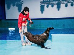 -南昌融创海世界