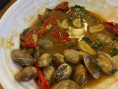 塔炒蛤蜊-台北楚楚园馅饼粥(虹桥南丰城店)