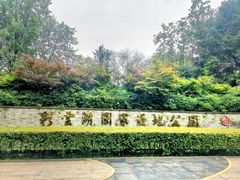 -重庆彩云湖湿地公园