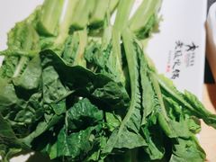 -老版火锅(半坡店)