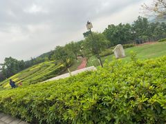 -铁山坪森林公园