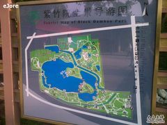 -紫竹院公园冰场