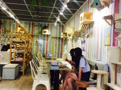 大堂-小时光咖啡馆(开森度假森林店)