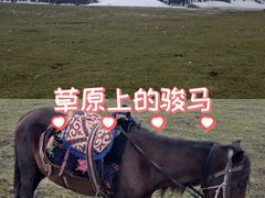 -新疆那拉提国家旅游度假区