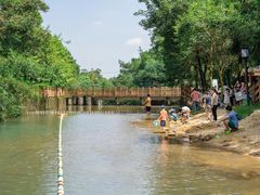 -广州白江湖森林公园